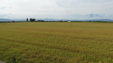 Foto 2 de Apartament en venda a  Eucaliptus, 13, Eucaliptus - Poble Nou del Delta, Tarragona