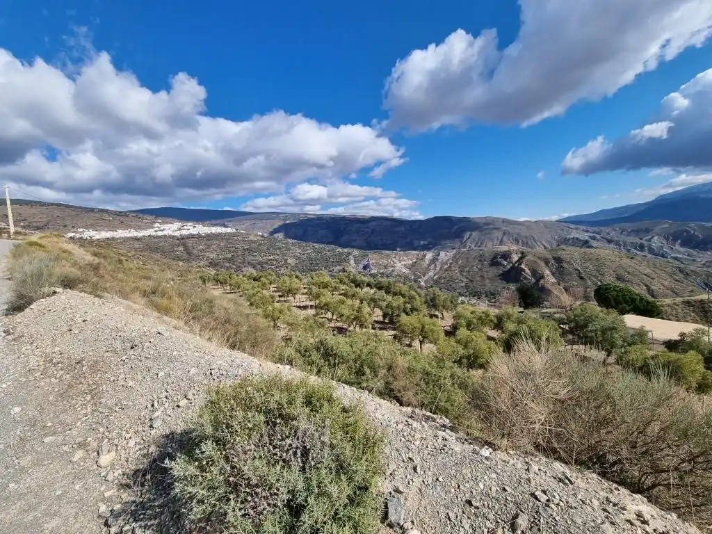 Terreni e lotti in vendita a Nevada, imagen 19