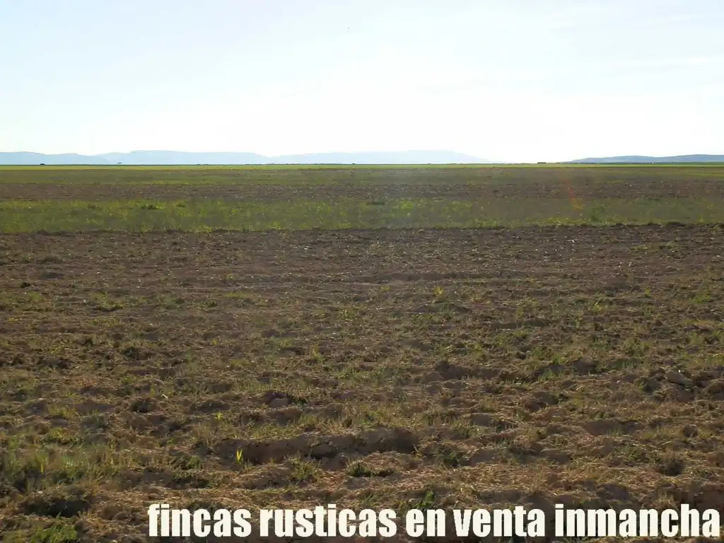 Terreni e lotti in vendita a Madridejos, imagen 14