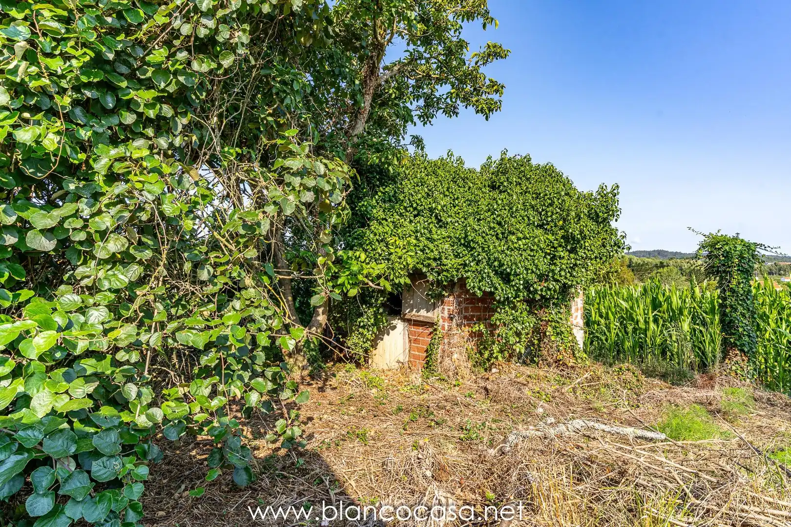 Houses for sale in Carballo  with Private garden