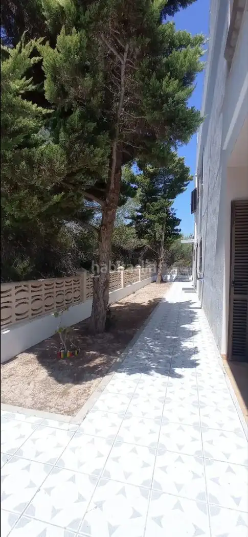 Villa zur Miete in Carrer Major 40, imagen 2