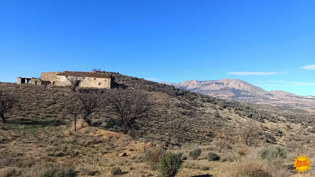 Casa rústica en venta en Vélez-Rubio, imagen 3
