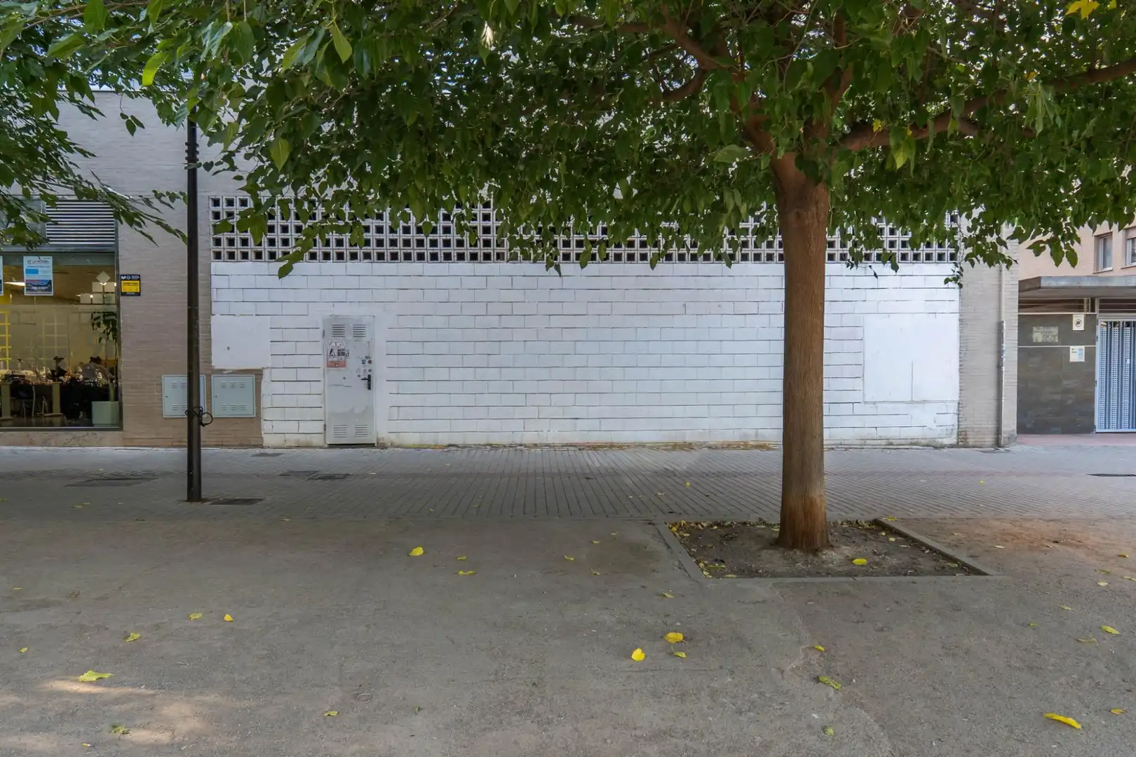 Local comercial en venta en Catedrática Asunción Linares, imagen 4