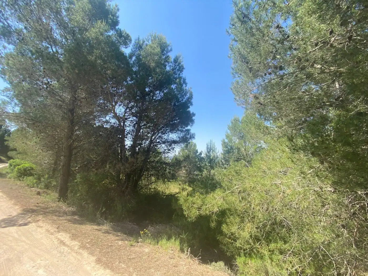 Terreno rustico in vendita a POLÍGONO 10 PARCELA 493, imagen 27
