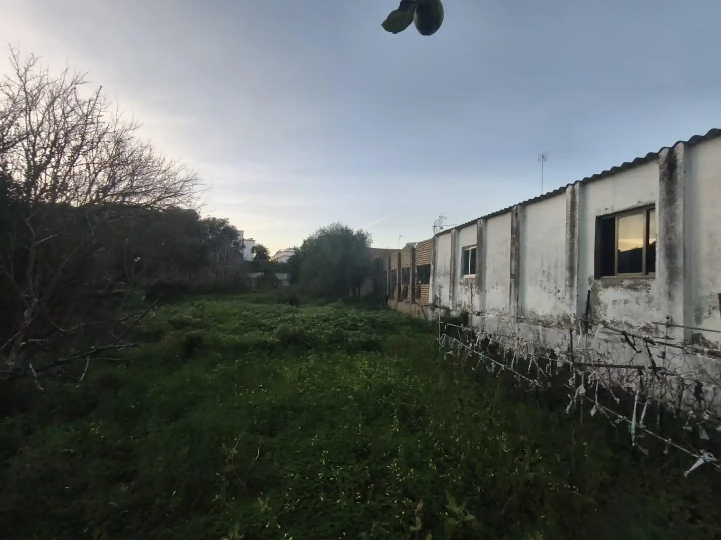 Terreni e lotti in vendita a La Casería - San Carlos, imagen 7