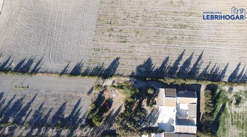 Foto 4 de Finca rústica en venta en Lebrija, Sevilla