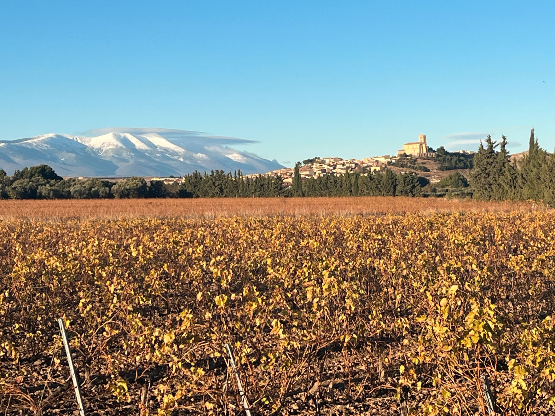 Exterior view of House or chalet for sale in Magallón  with Heating, Terrace and Storage room