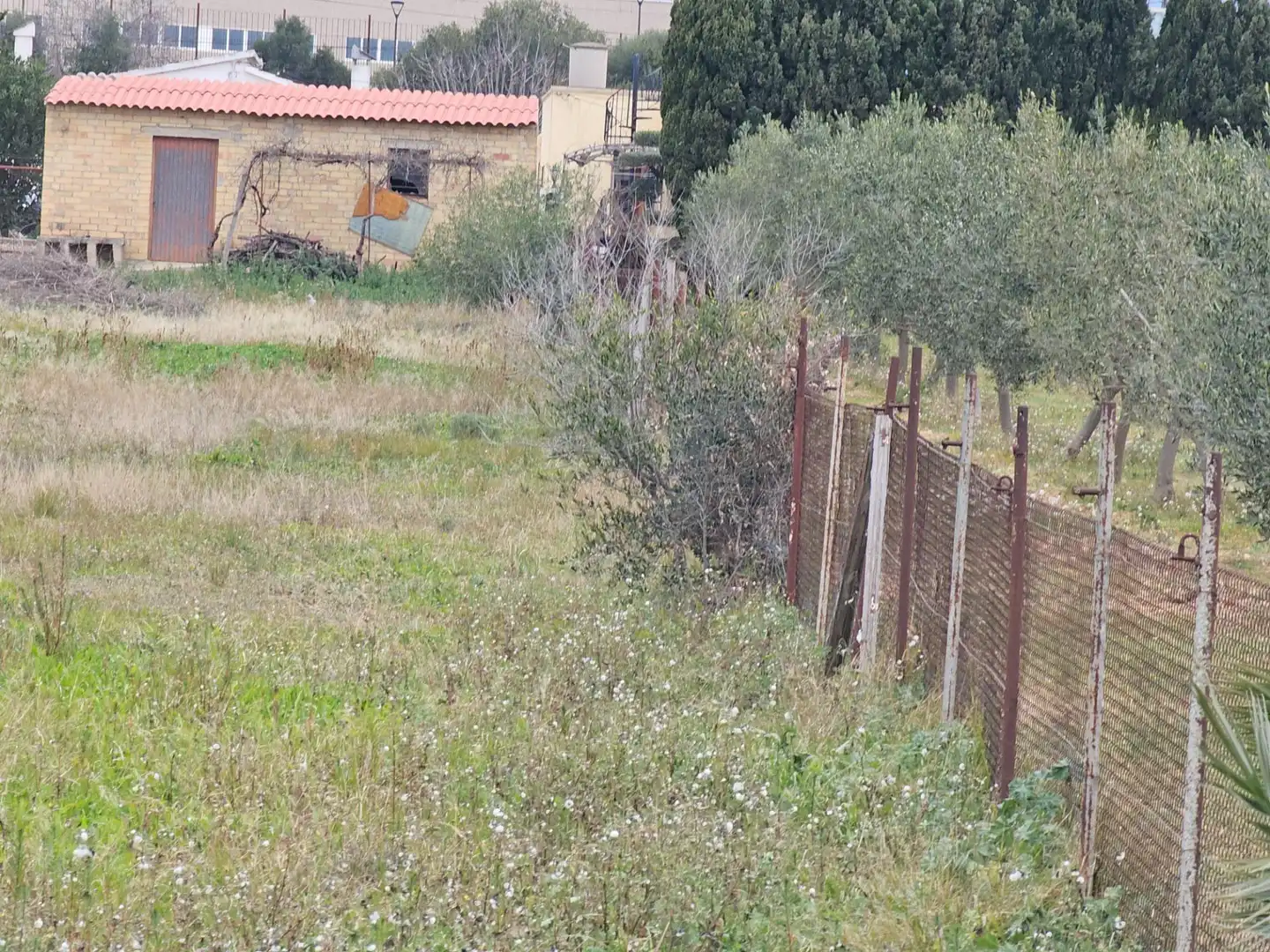 Country house for sale in L'Aldea, imagen 11