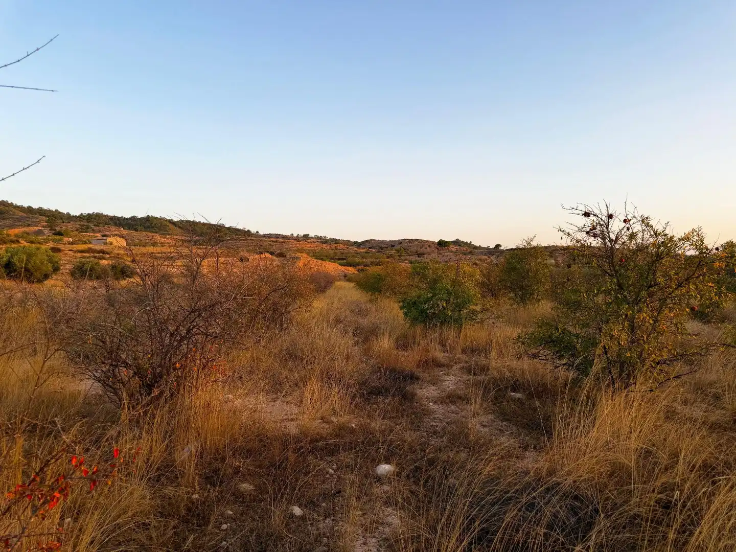 Lands and plots for sale in Abanilla, imagen 6