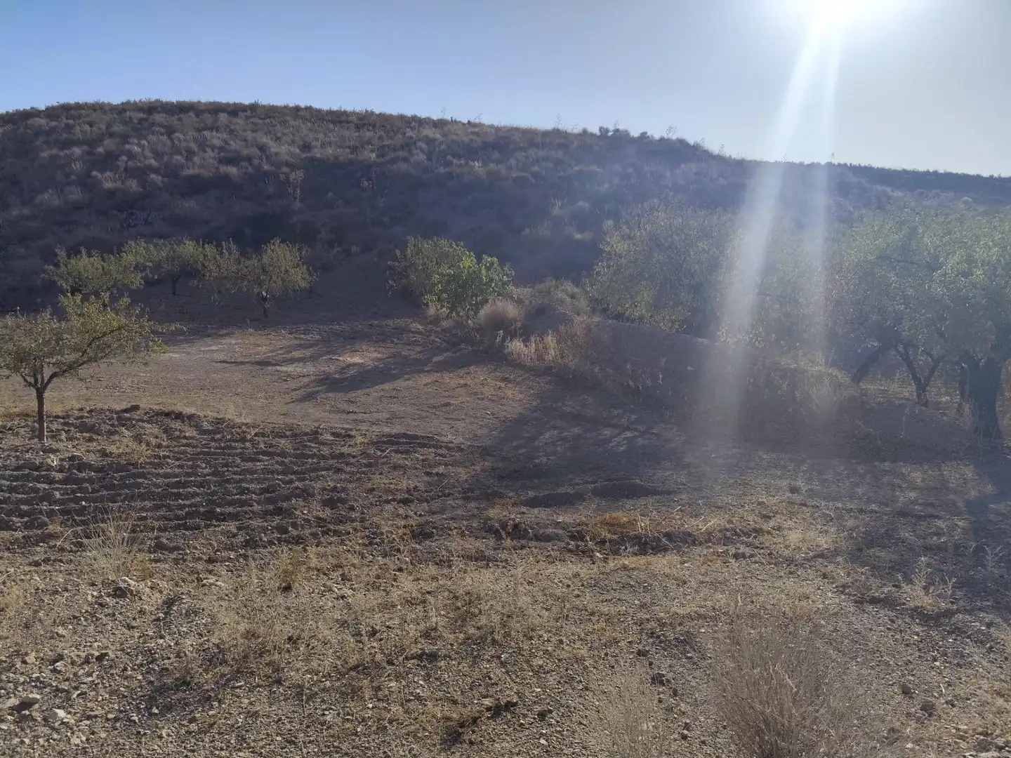 Terrains et parcelles à vendre à Pedanías Centro, imagen 19