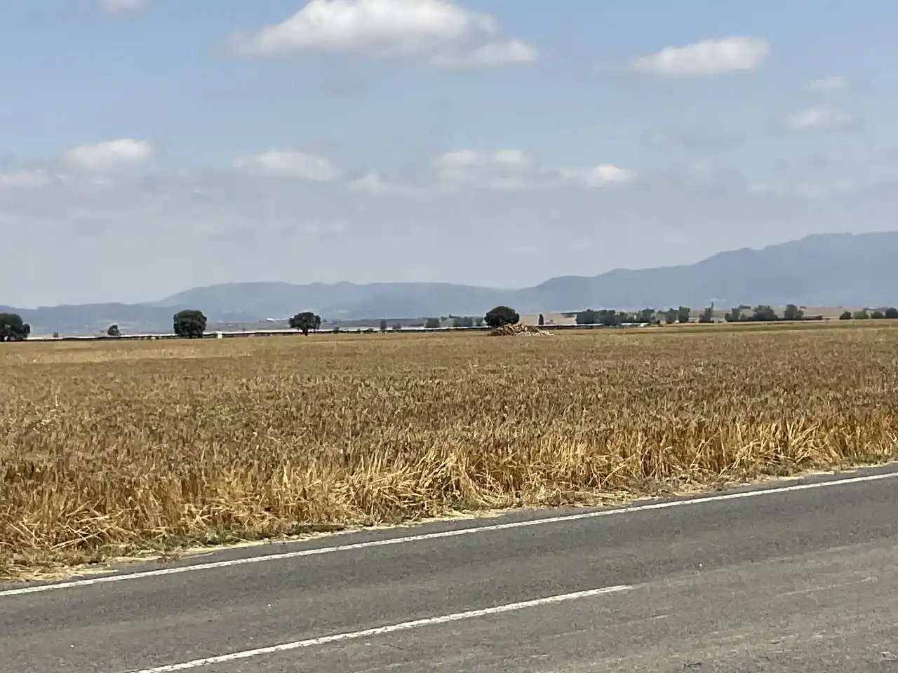 Land for sale in Bañares