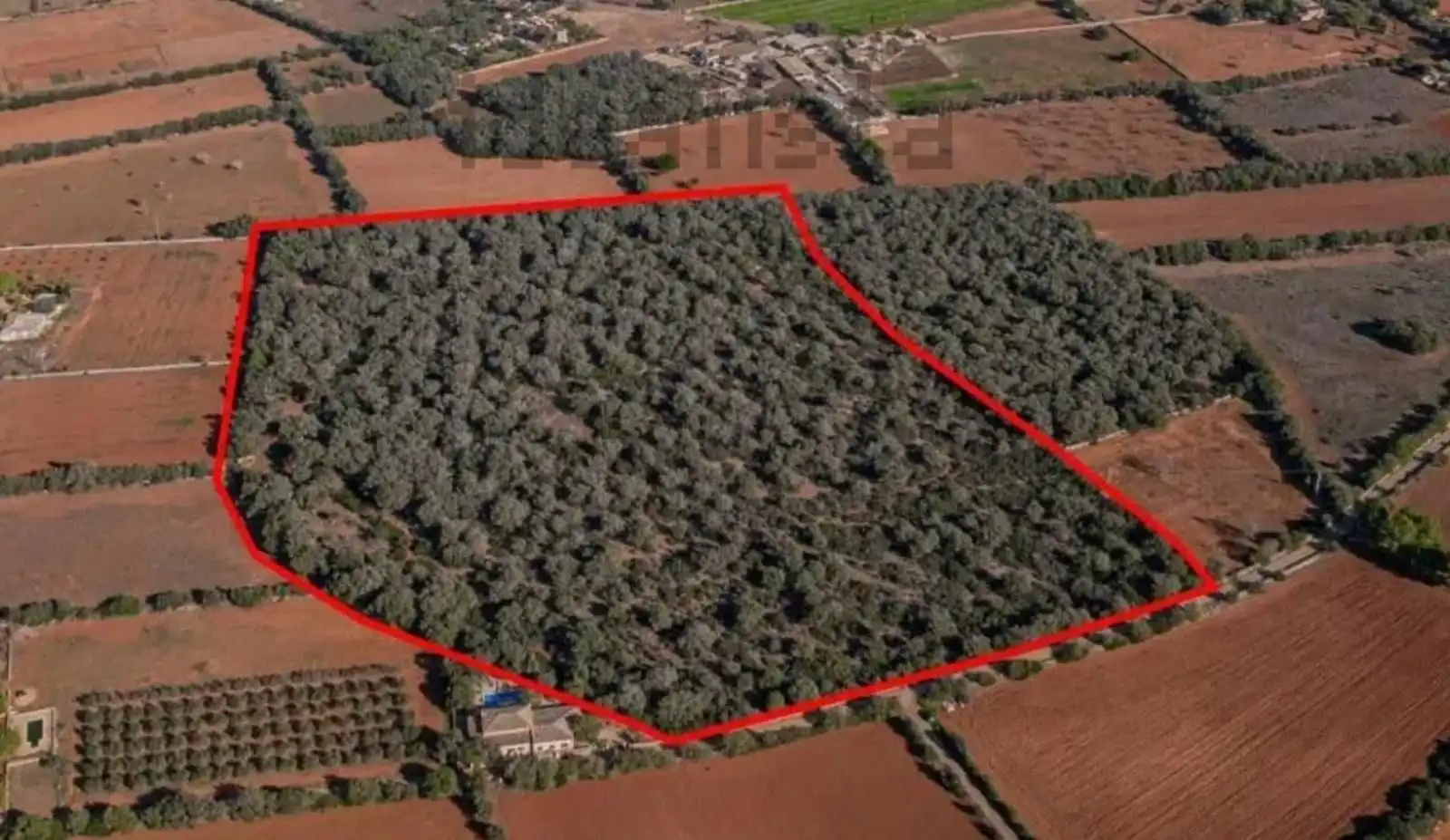 Residential land for sale in Polígono CAS FUSTER, POLGONO 49 - LA PLATA DE SON MAYO, imagen 14