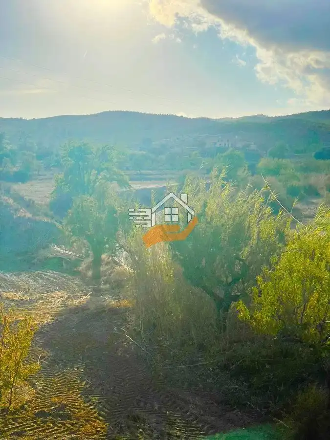 Residential land for sale in Vélez-Rubio, imagen 3