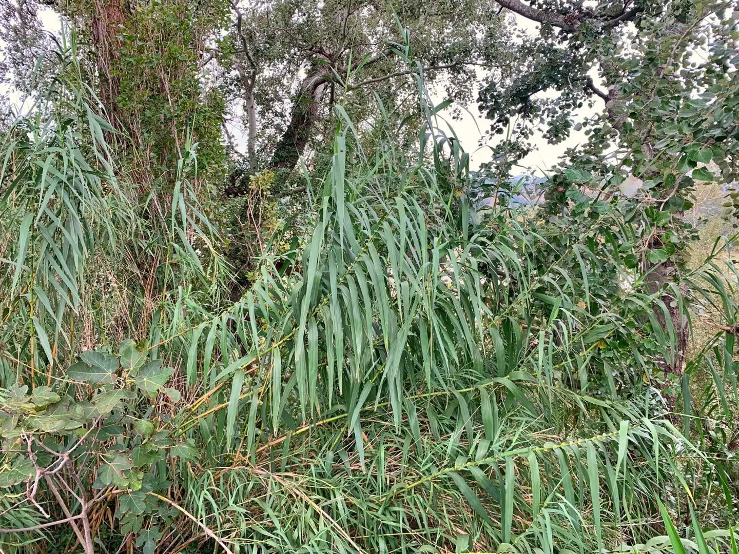 Finca rústica en venda en Tortosa