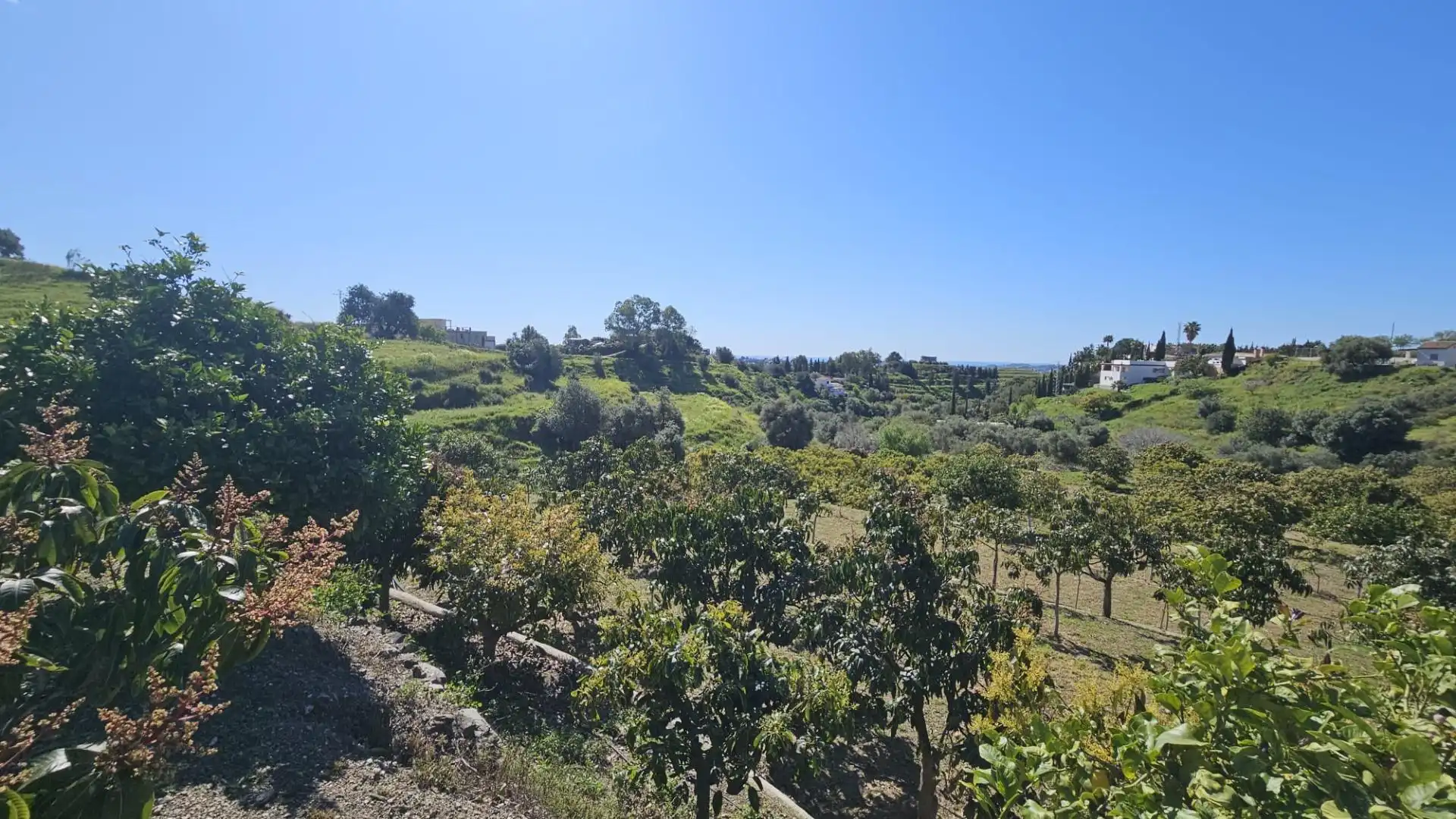 Terreno residencial en venta en Mijas pueblo, imagen 6