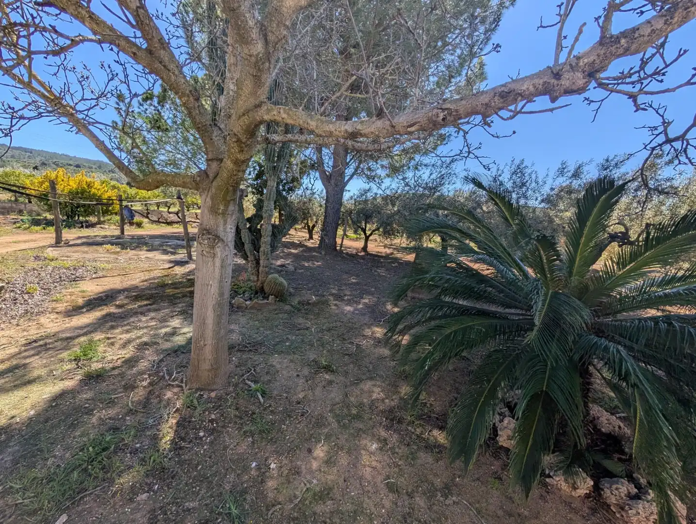 Grundstücke zum Verkauf in Ulldecona