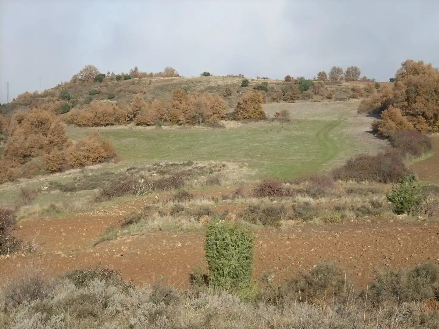 Terreno en venta en Añana