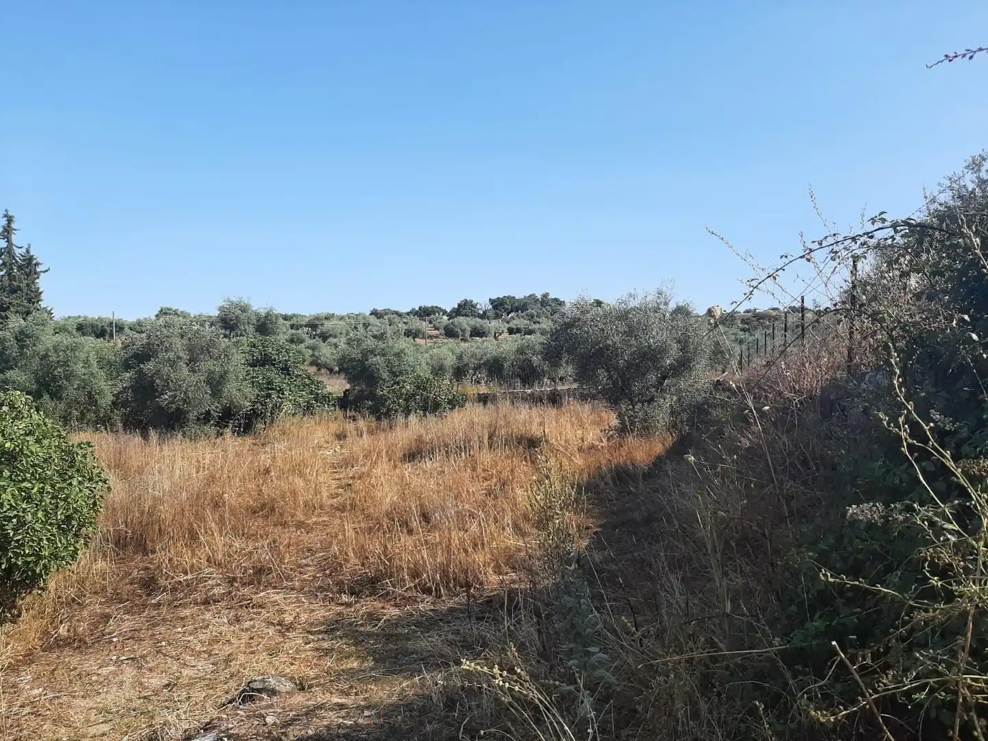 Terreni e lotti in vendita a Casas de Don Antonio, imagen 9