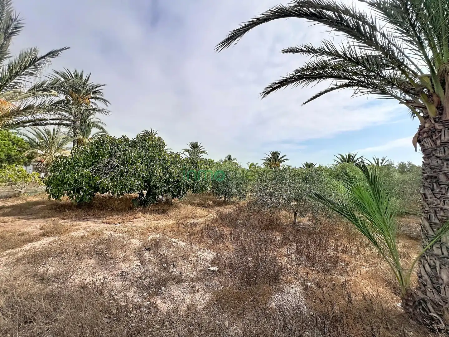 Finca rústica en venda en Pulpí amb Aire condicionat, Jardí privat i Terrassa