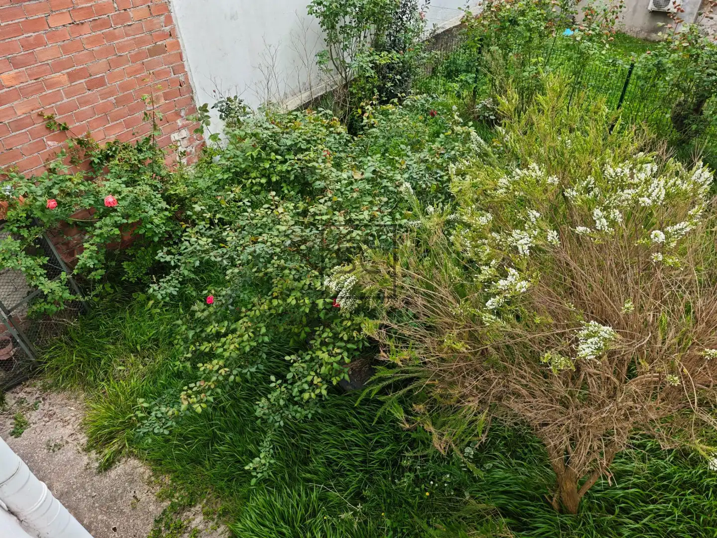 Garden of Houses for sale in Ferrol  with Heating, Private garden and Storage room