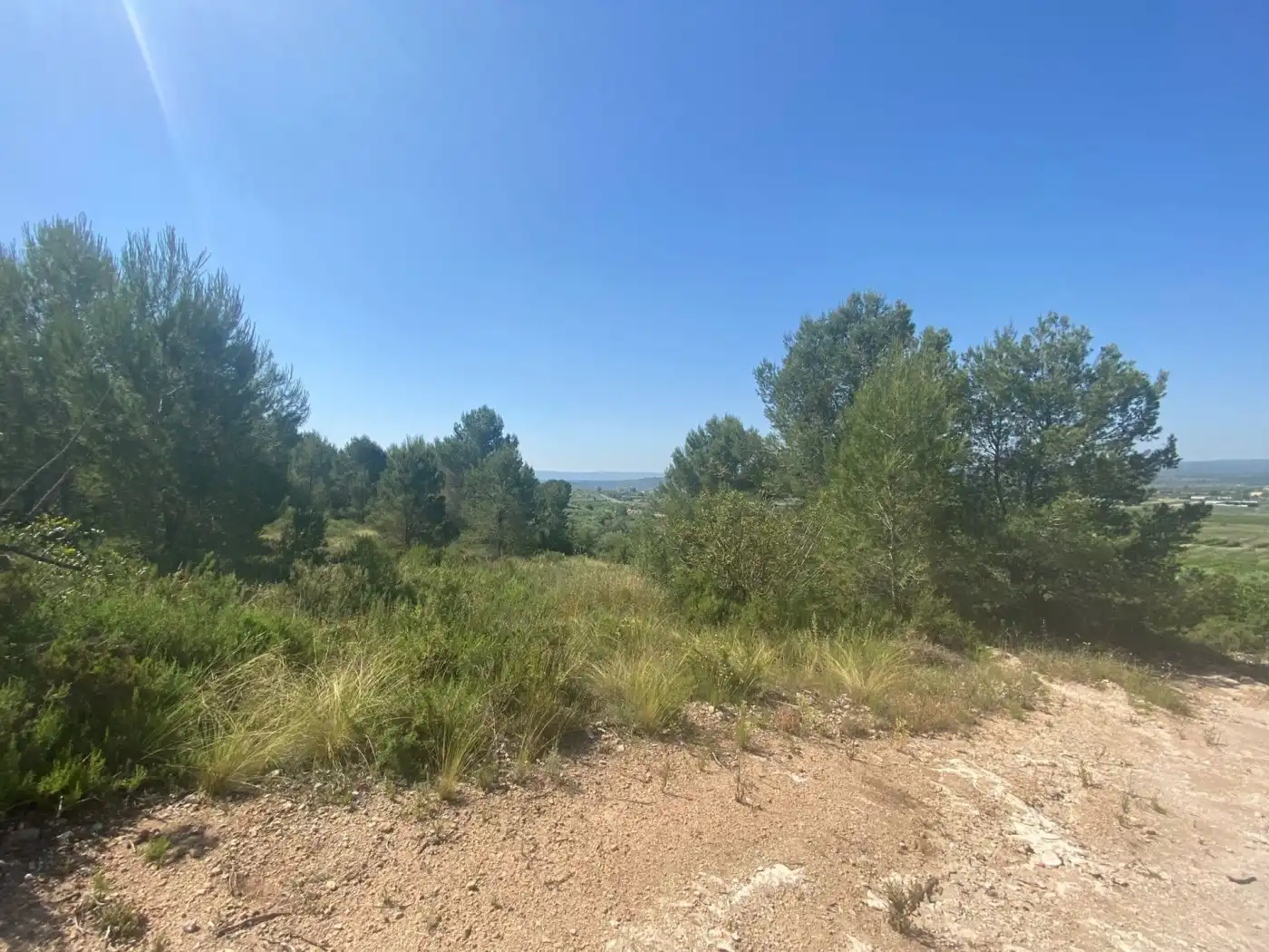 Terreno rustico in vendita a POLÍGONO 10 PARCELA 493, imagen 14