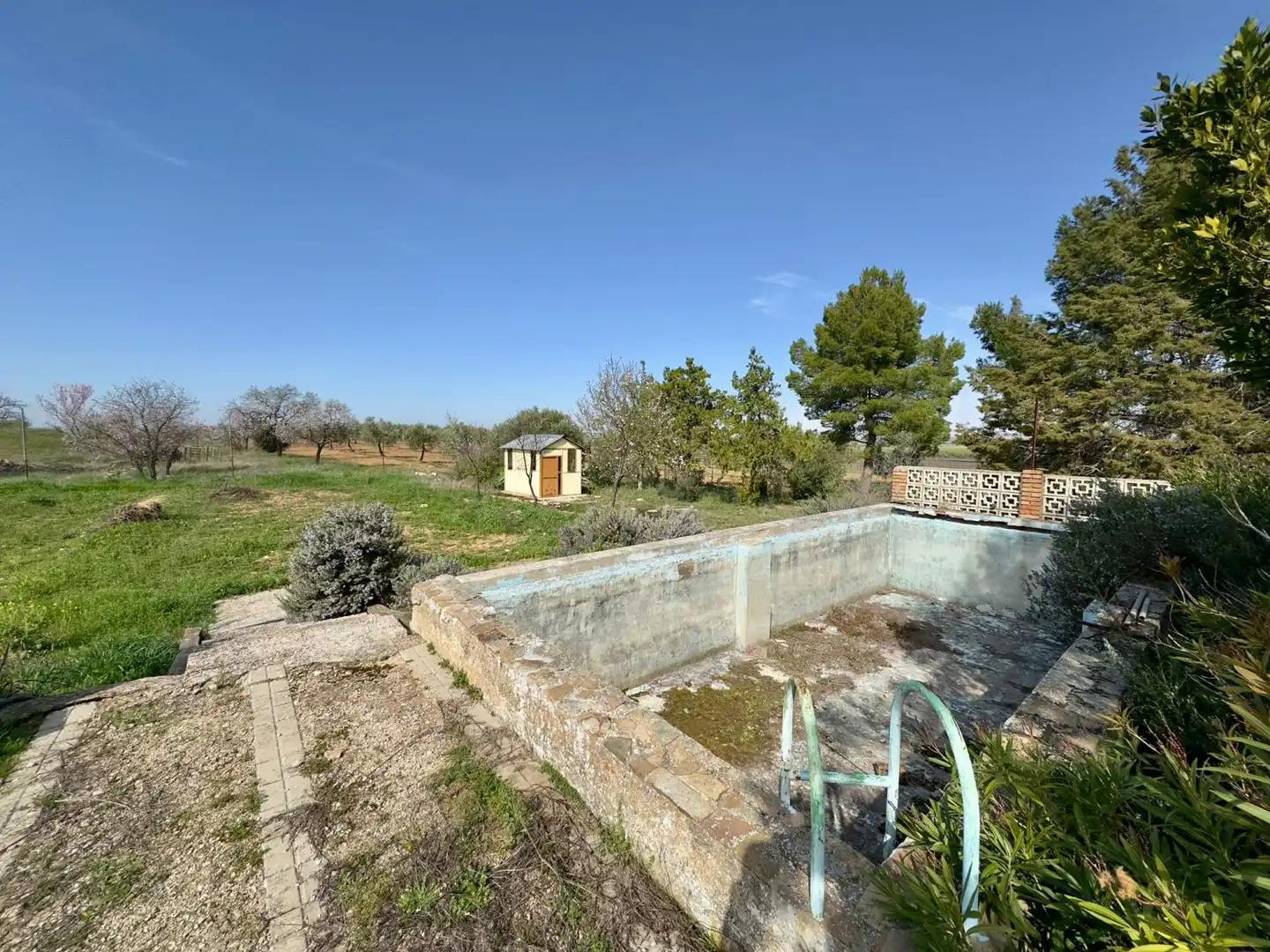Casa rústica amb terrassa en venda a Torrenueva, imagen 63