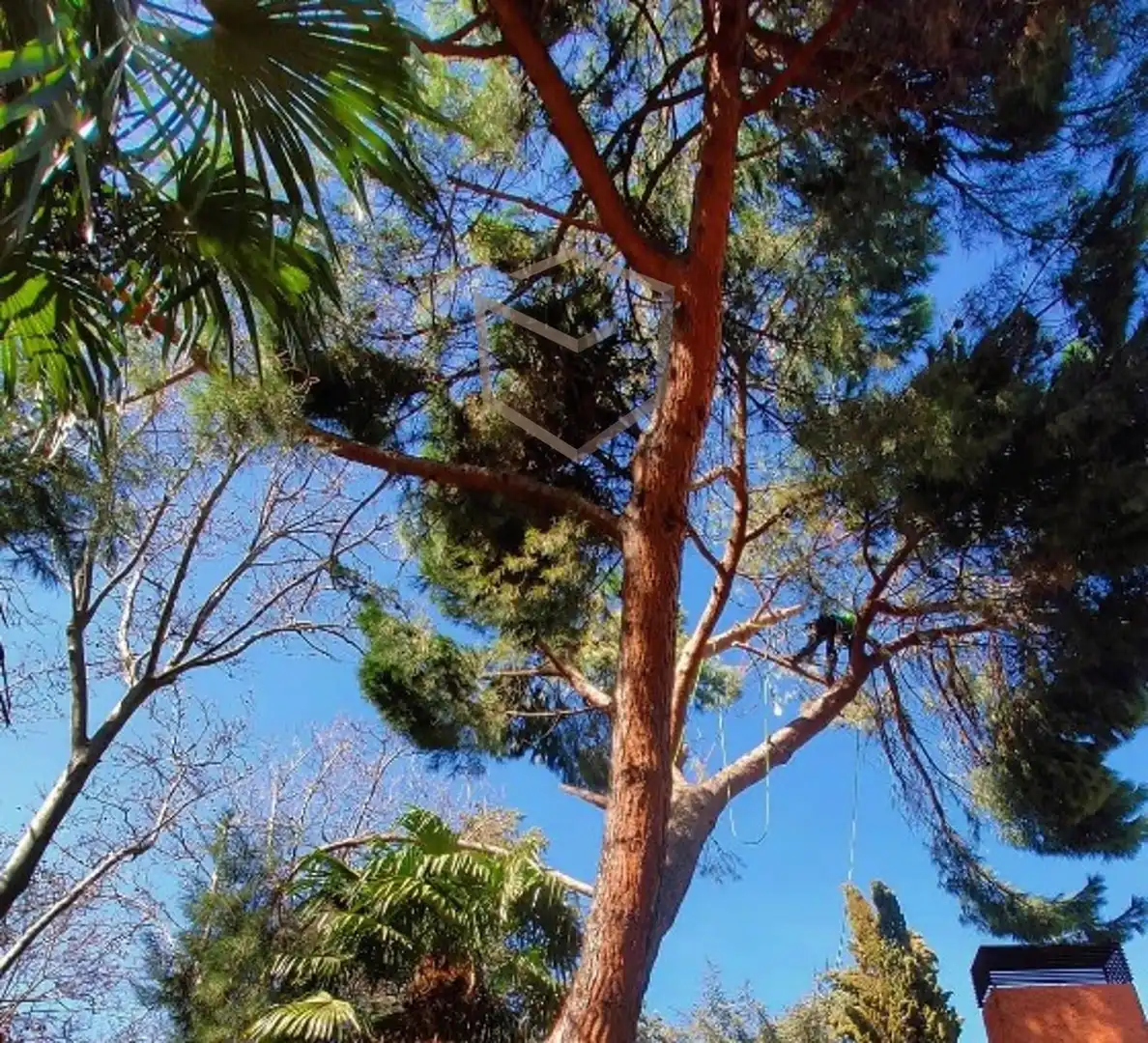 Jardín de Casa o chalet en venta en Madrid con Aire acondicionado, Calefacción y Parquet
