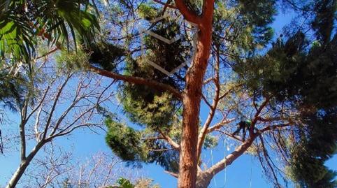 Foto 3 de Casa o xalet en venda a Mirasierra, Madrid