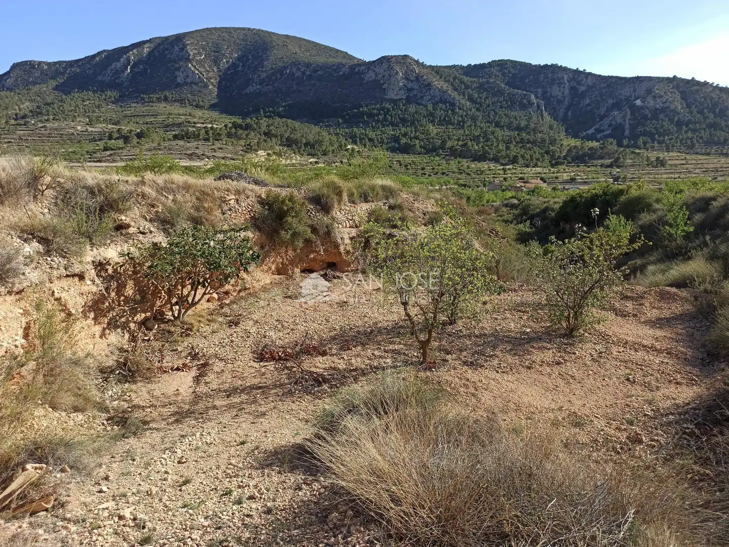 Terrain rustique à vendre à Algueña, imagen 12