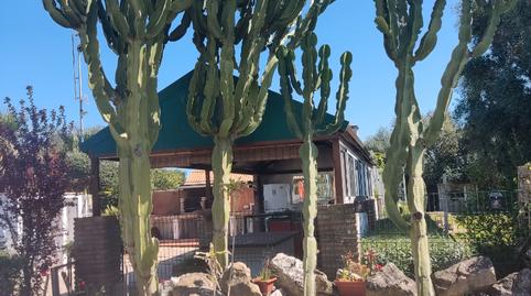 Photo 5 of Building for sale in Benalup-Casas Viejas, Cádiz