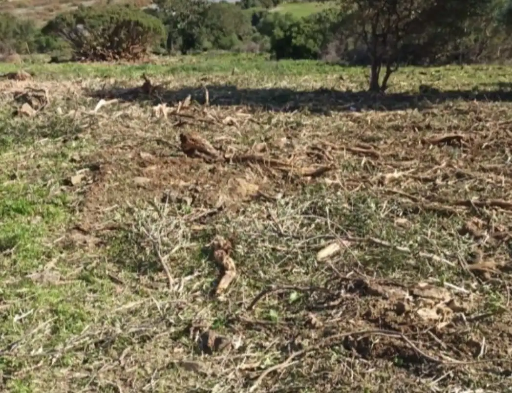 Terrenys i solars en venda a Casares pueblo, imagen 5