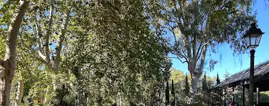 Residential land for sale in Plaza Generalitat, imagen 13