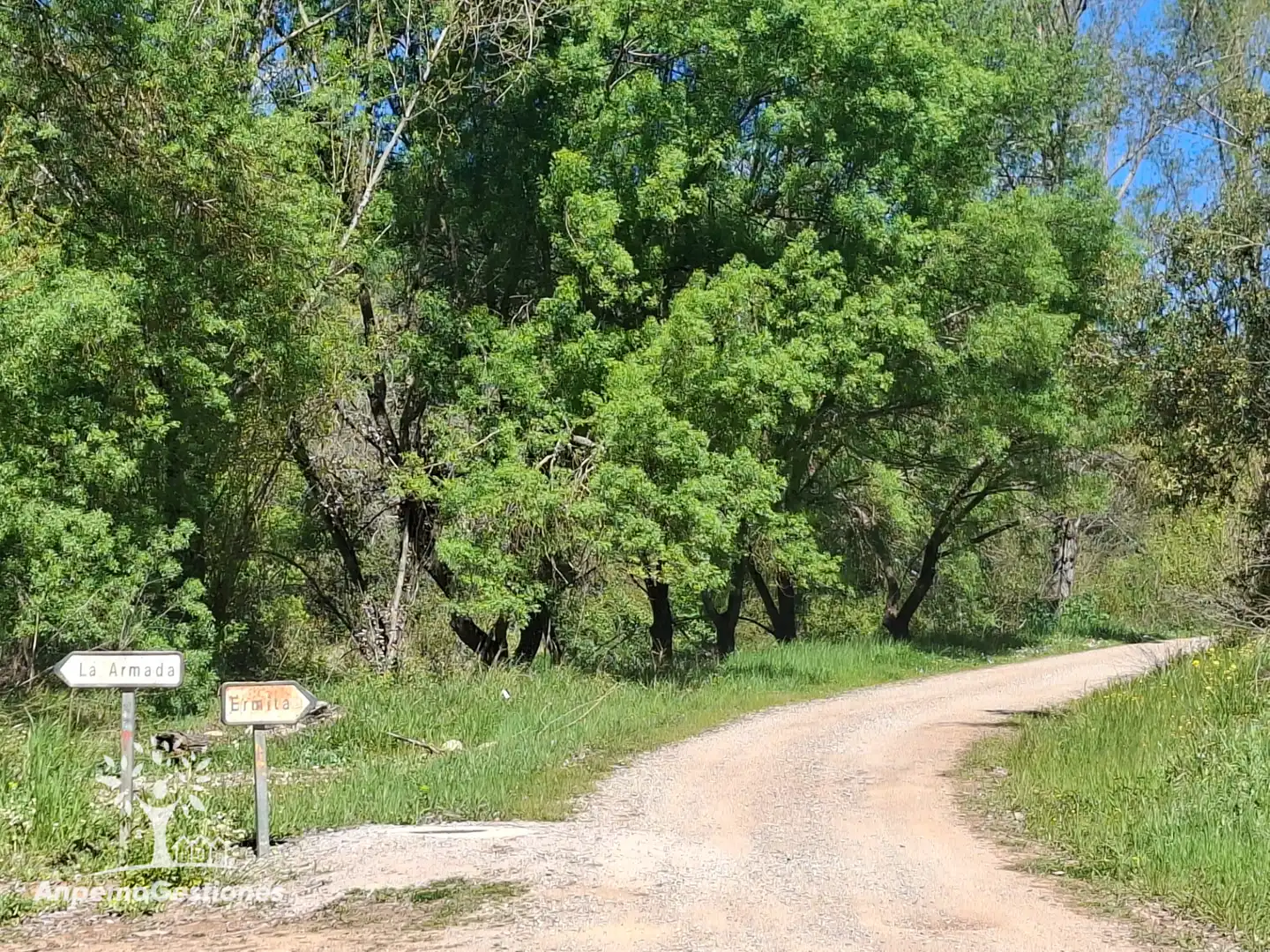 Terreni e lotti in vendita a Camino de la Ermita 18, imagen 12