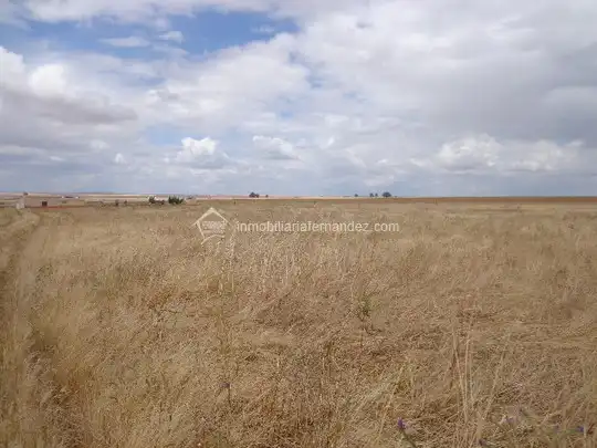 Terreni e lotti in vendita a Valdesalor - Rincón de Ballesteros, imagen 2