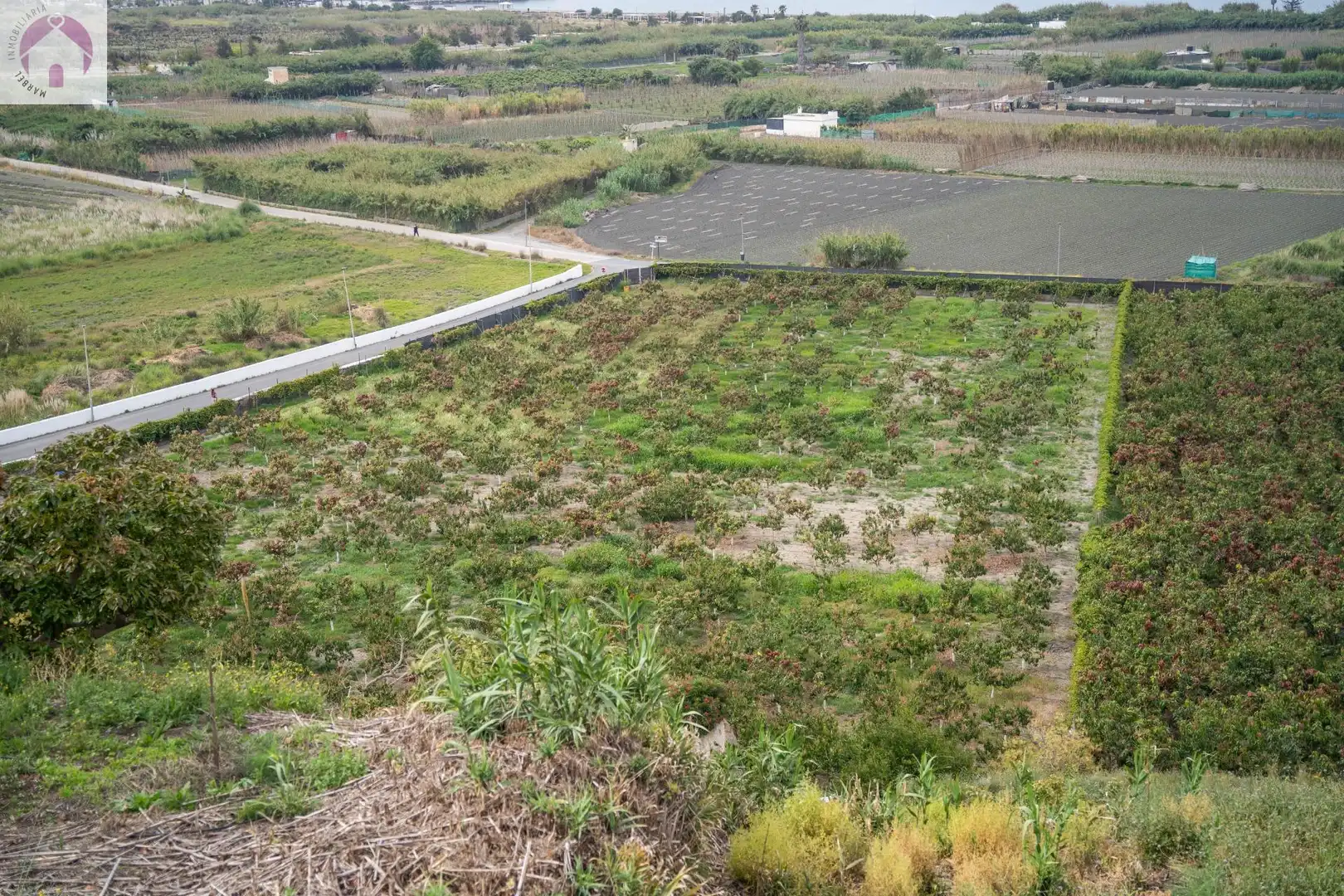 Residential for sale in CARRETERA MALAGA (CAL), 74, La Caleta - La Guardia