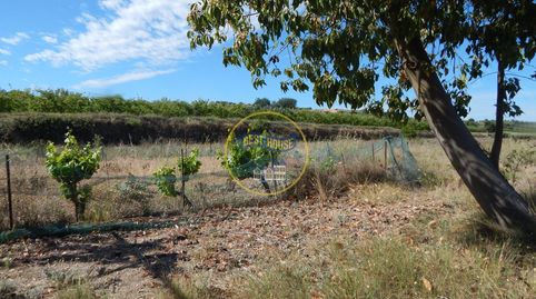 TERRENO CON REFUGIO EN AGULLENT, imagen 2