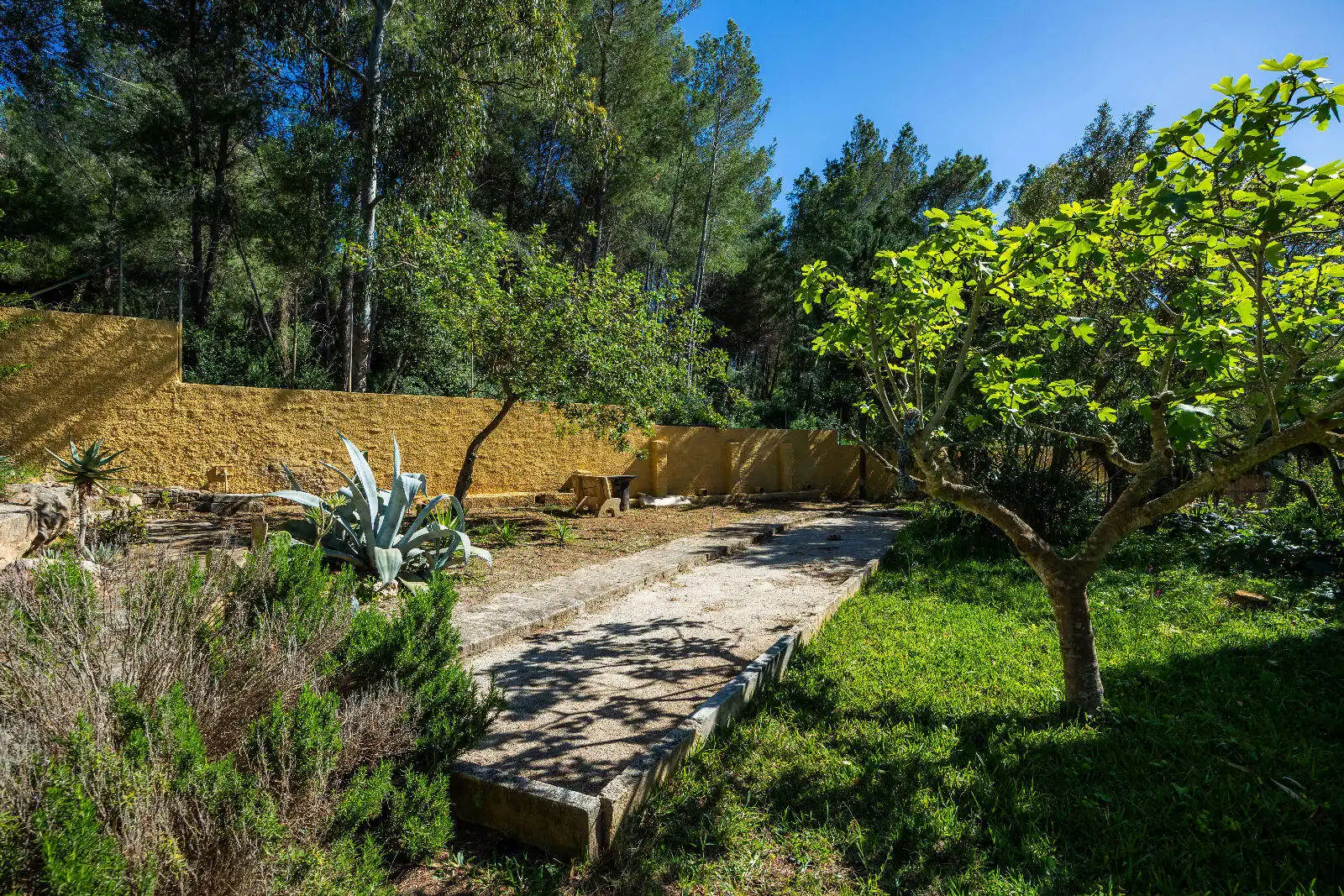 Jardí de Casa o xalet en venda en Artà amb Aire condicionat, Terrassa i Moblat