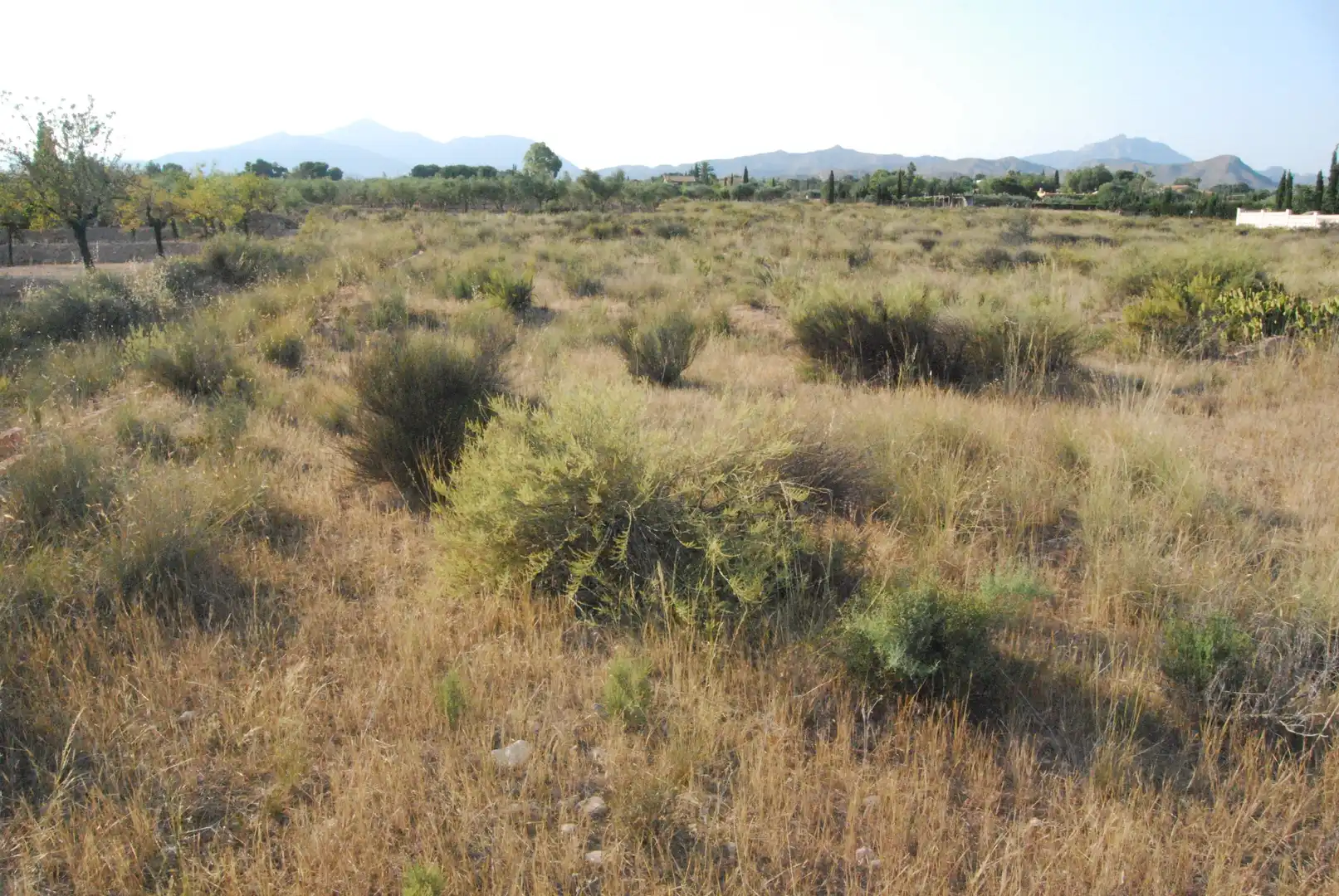 Rural land for sale in Villamontes - Boqueres, imagen 6
