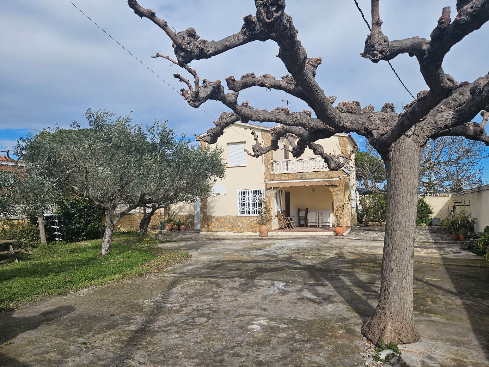 Exterior view of House or chalet for sale in Castellón de la Plana / Castelló de la Plana  with Private garden, Terrace and Storage room