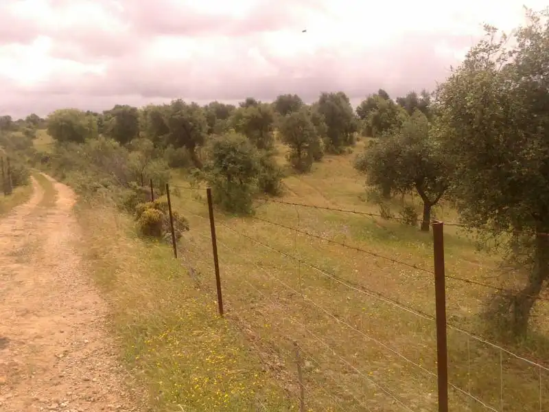 Casa rústica en venda a Valverde del Camino, imagen 7