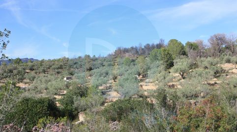 Finca Rustica con Almacén agrícola, imatge 4
