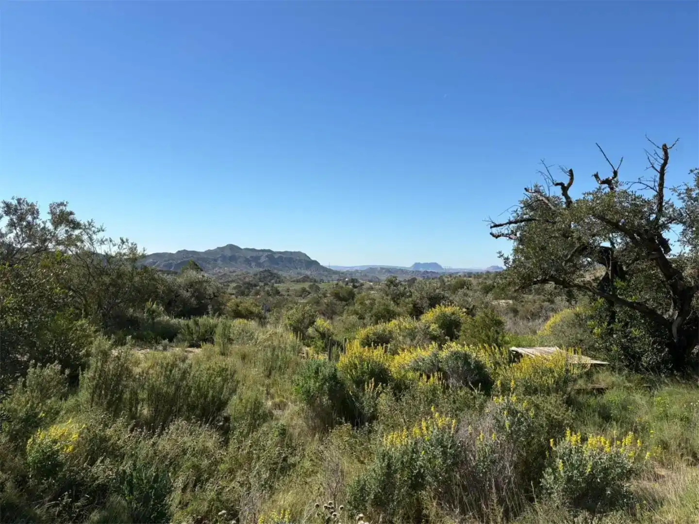 Finca rústica en venda en Jijona / Xixona amb Piscina i Balcó