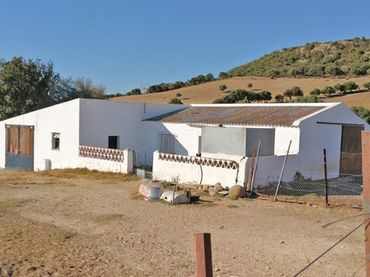 Wohnbaugrundstück zum Verkauf in Vejer
