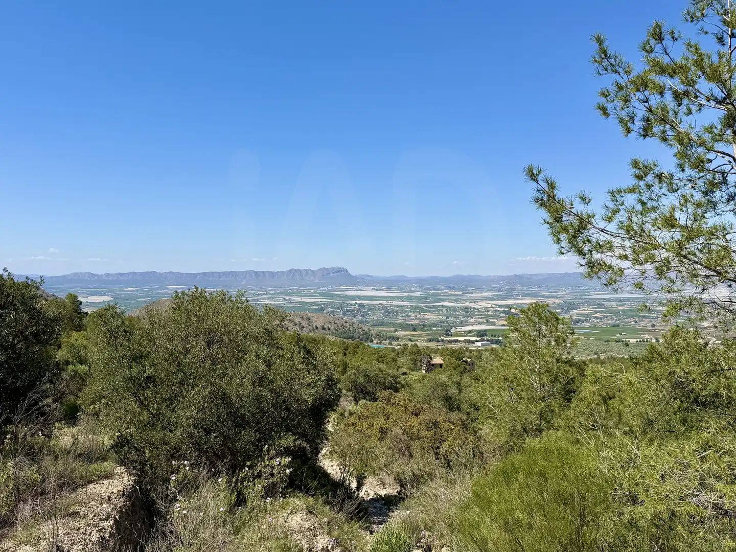 Terrain rustique à vendre à Cieza, imagen 19