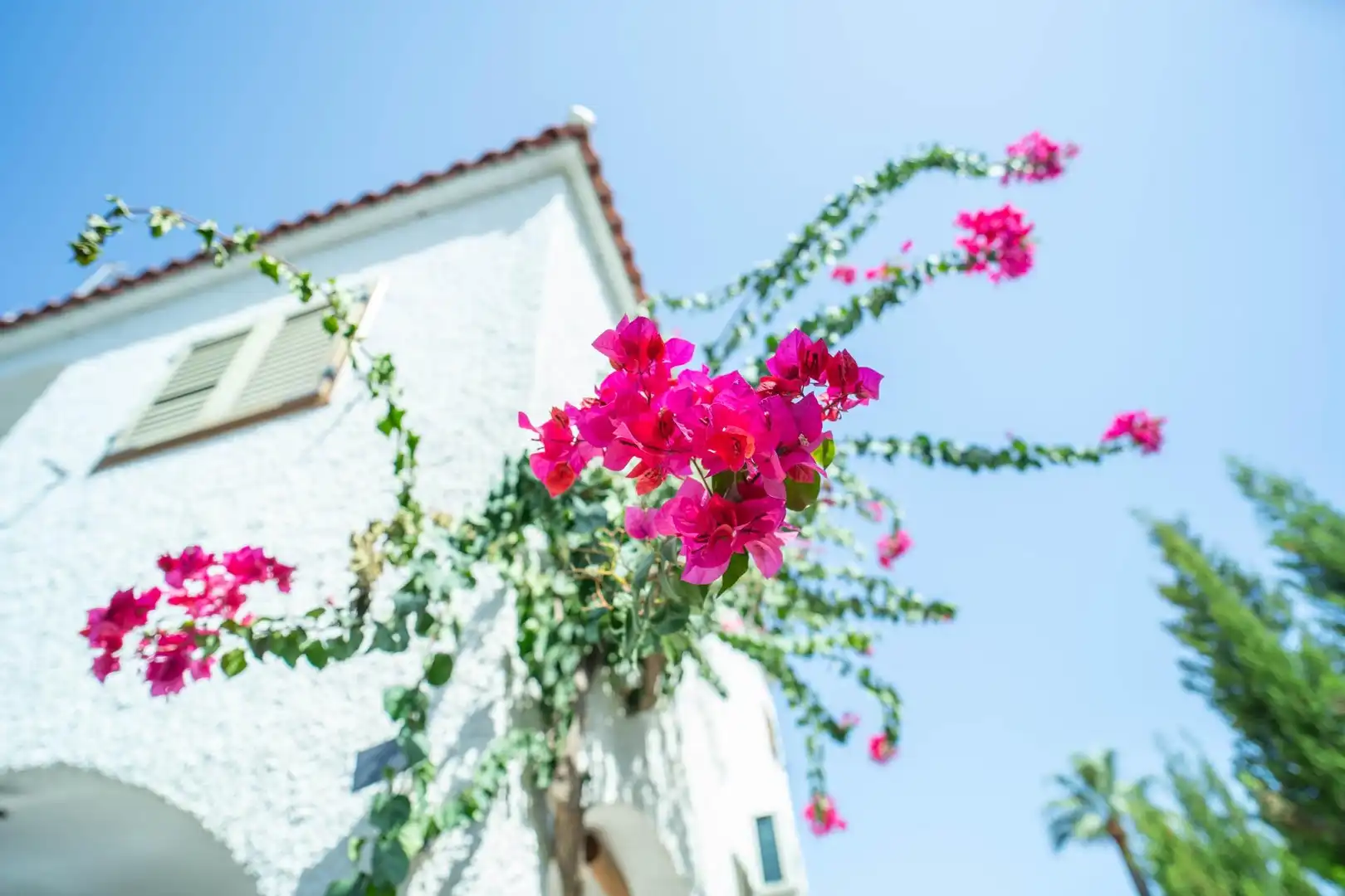 Maison mitoyenne avec terrasse à vendre à Calle E CALATAYUD 49, imagen 14