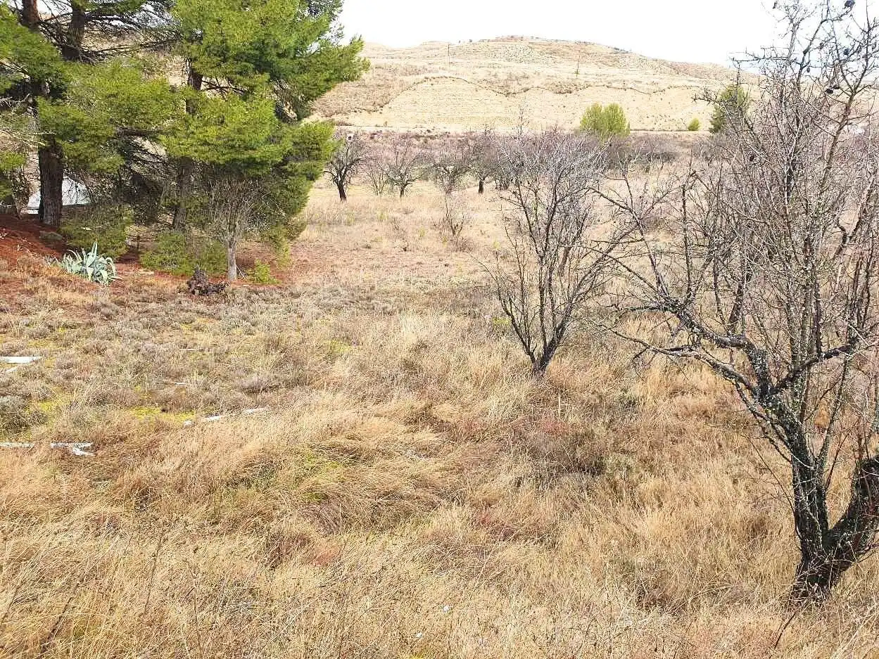 Terreno en venta en Maluenda