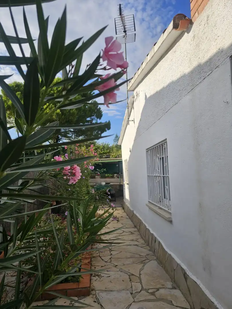 Casa amb jardí en venda a Carrer Carrer Margarida, imagen 18