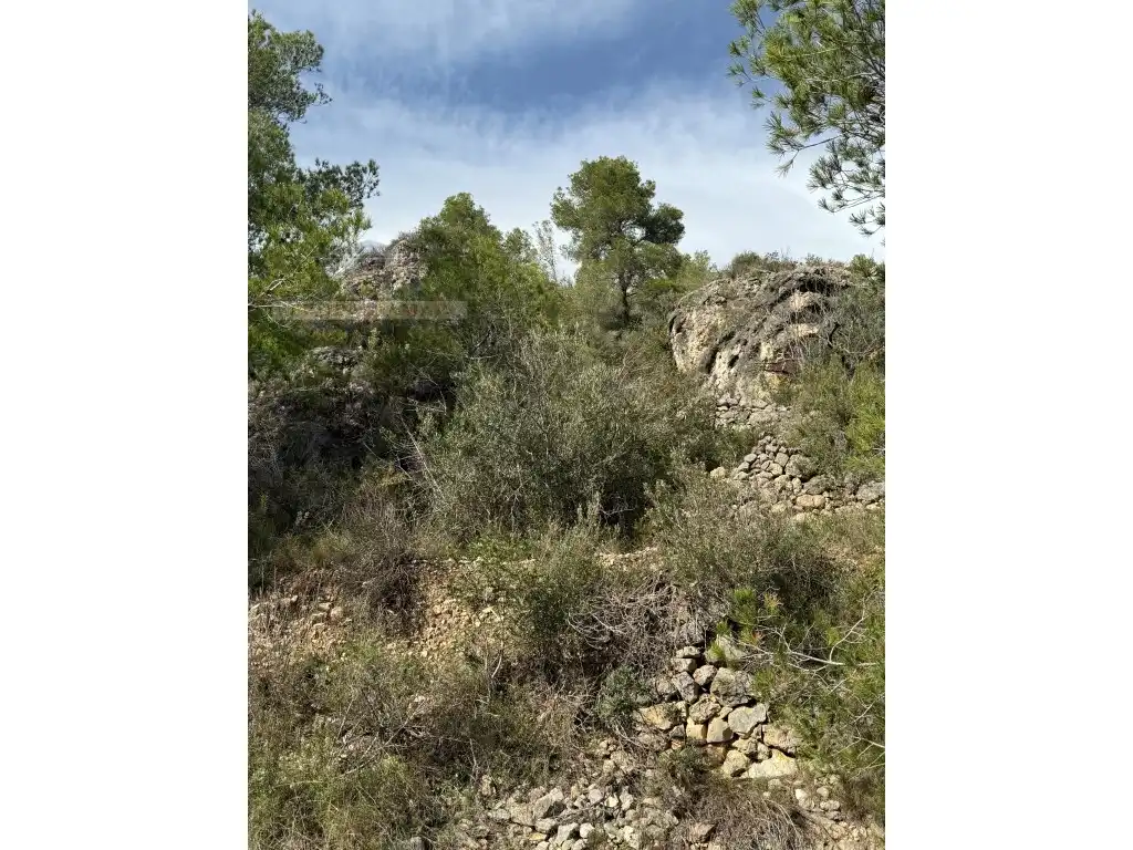 Country house for sale in Poligono 82 Paraje 6 Camp-Redo, imagen 13