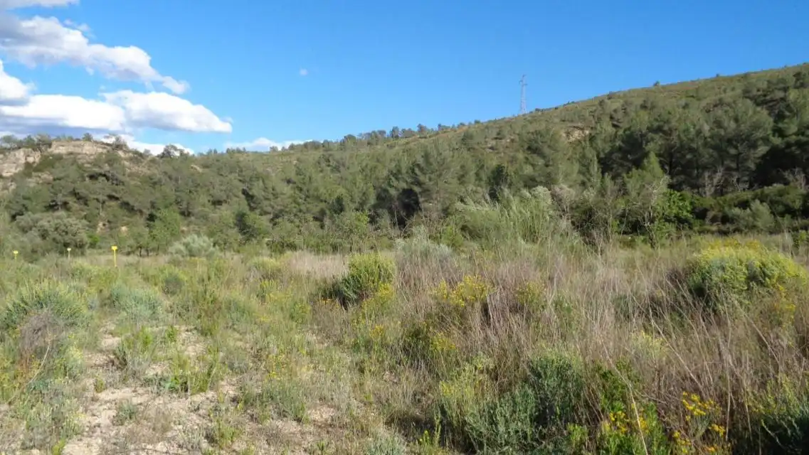 Terreno rustico in vendita a PESOLS, imagen 11