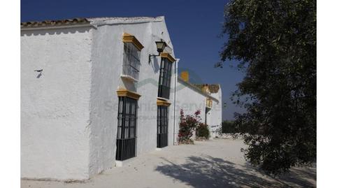 Foto 5 de Finca rústica en venda a Morón de la Frontera, Sevilla